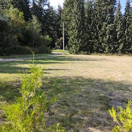 In Alleinlage, Panoramablick, Kaminofen Zum Selber Heizen * Schellerhau